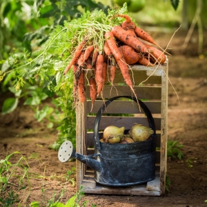 Ernährungstipps